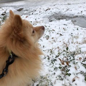 Meet your Posher, Connor